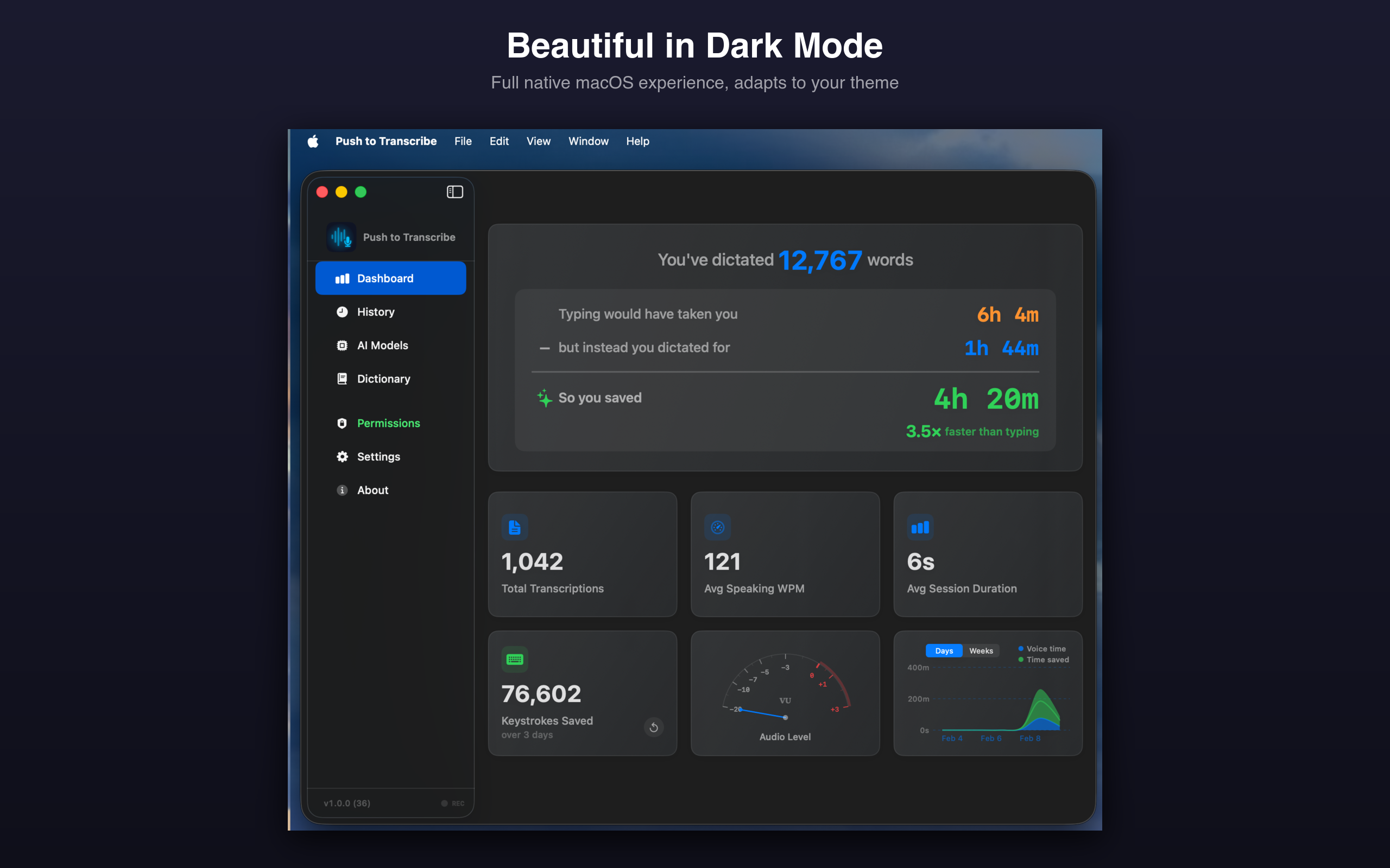 Dashboard showing dictation stats, time saved, and usage charts